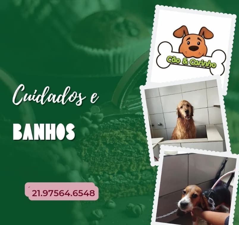 Banho e Tosa